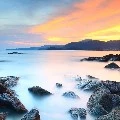 Cả lớp