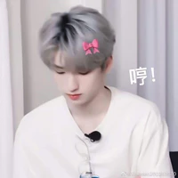 Nghiêm Hạo Tường