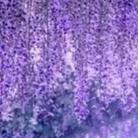 Những người có mặt ở đó