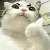 2 thanh niên páo đời