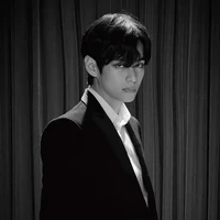 Kim Taehyng ( V )
