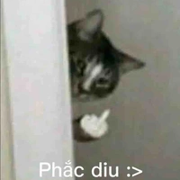 Hệ thống mất não =))