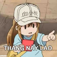 Bộ 3 báo đời