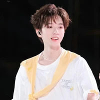 Hạ Tuấn Lâm 