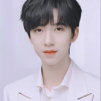 Hạ Tuấn Lâm