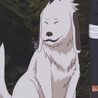Akamaru