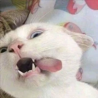 All