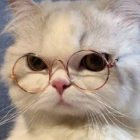 8074