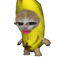 Cây Cà Lem XiCuLa