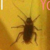 @ILoveYou |NM|