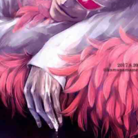 Donquixote Doflamingo