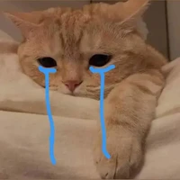 tg no lười