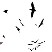 tác giả cần được Vote