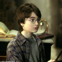 Harry Potter (HS)