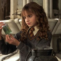 Hermione Granger ( HS )