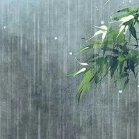 hai cô cậu