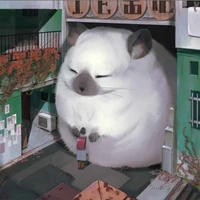 as Mouse