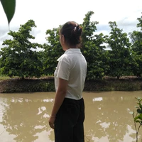 tác giả hướng nội