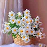 Hệ thống 8905(Kemy)