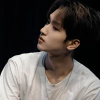Nghiêm Hạo Tường