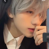 Vũ Song Tử /GEMINI