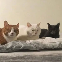 Nguyên hồn (đừng nhìn ảnh:))