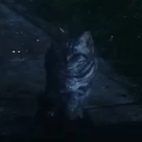 Robert McGonagall