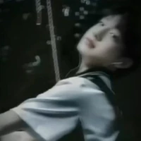 Trương Trạch Vũ