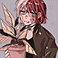 Todoroki Shouko