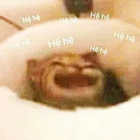 Mèo này tên tác giả