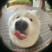 cho sờ mung cái [Ari]