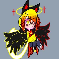 STF_hoodie