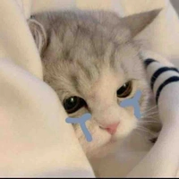 Cô pé ắc wỷ😏😏 {tg}