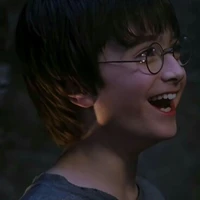 Harry james potter