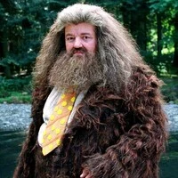 Rubeus hagrid