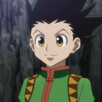 Gon Freecss