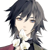 Sakuri (T/g)