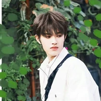 Trương Cực