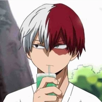 Todoroki Shoto