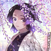 shinobu shinoko
