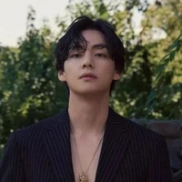 taehyung(v)