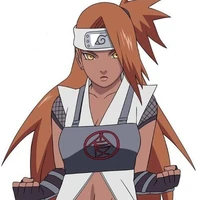 Chocho Akimichi