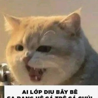 t/g ngu dốt