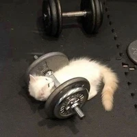 Tác Giả cutii vcl