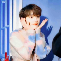 Đinh Trình Hâm 