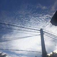 Ái Tân Giác LaHoằng Lịch