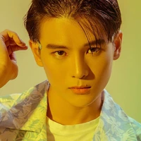 Phạm Đình Thái Ngân