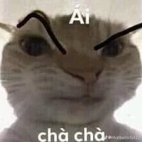 cả 5 ng kia👁👄👁👊