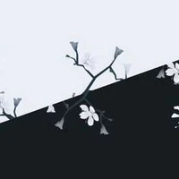 n.v phụ không cần để tâm