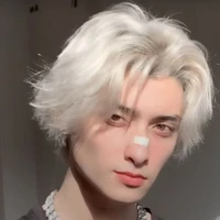 Lâm Ngọc Song Tử♊